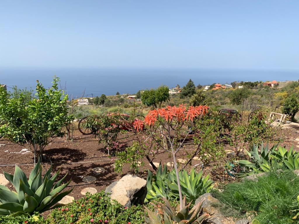 Hrlos Piratas - Ferien Haus La Palma - Good Wlan !! Tijarafe Bagian luar foto