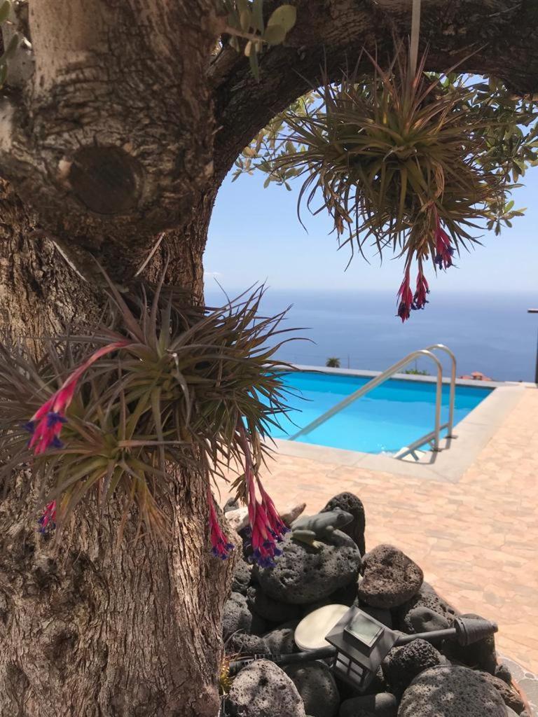 Hrlos Piratas - Ferien Haus La Palma - Good Wlan !! Tijarafe Bagian luar foto